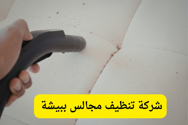 شركة تنظيف مجالس ببيشة 